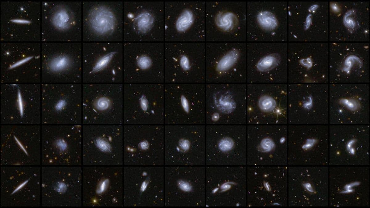 Live Science