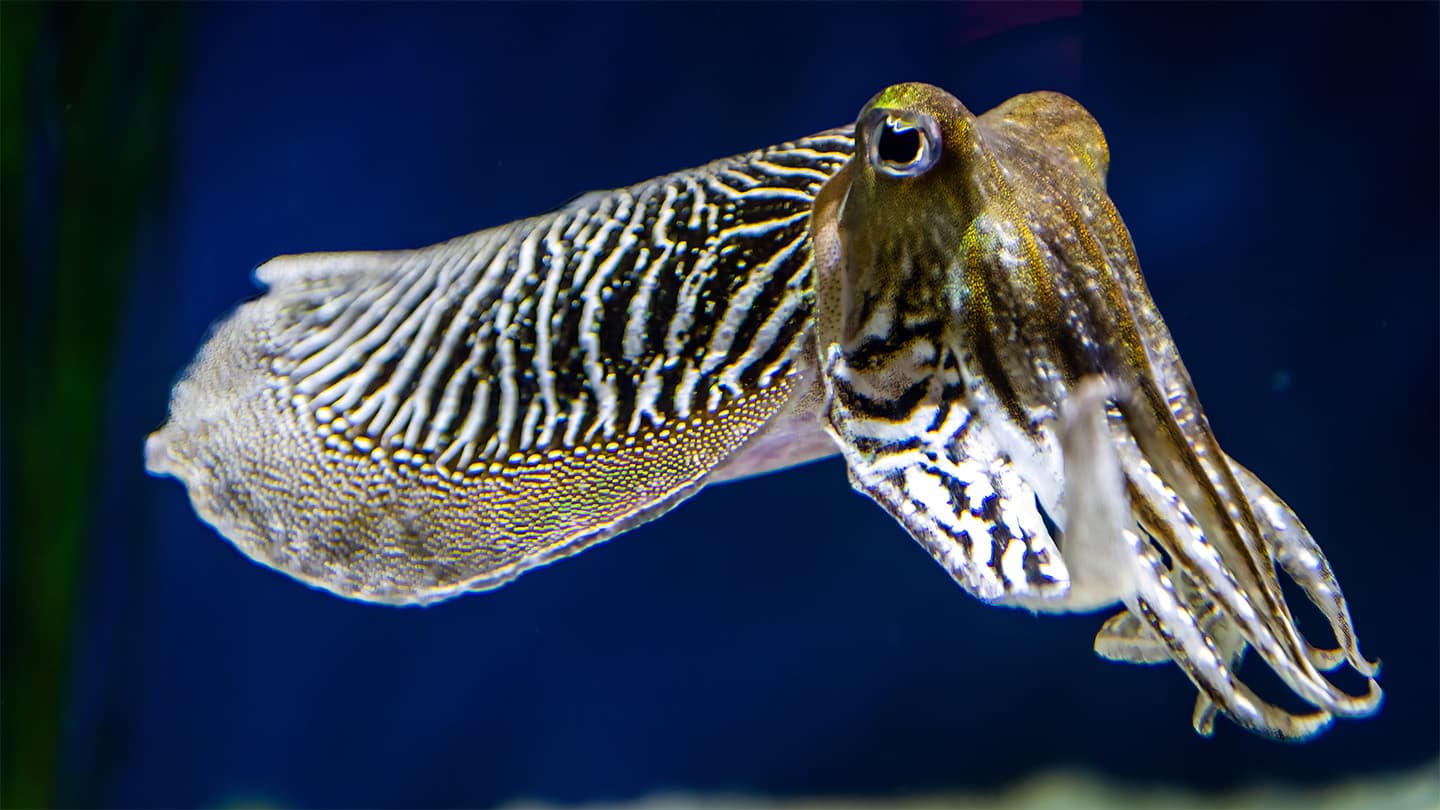 Science News