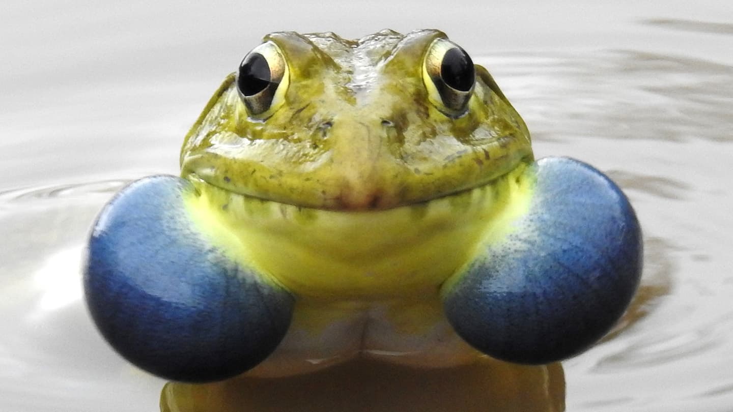 Science News