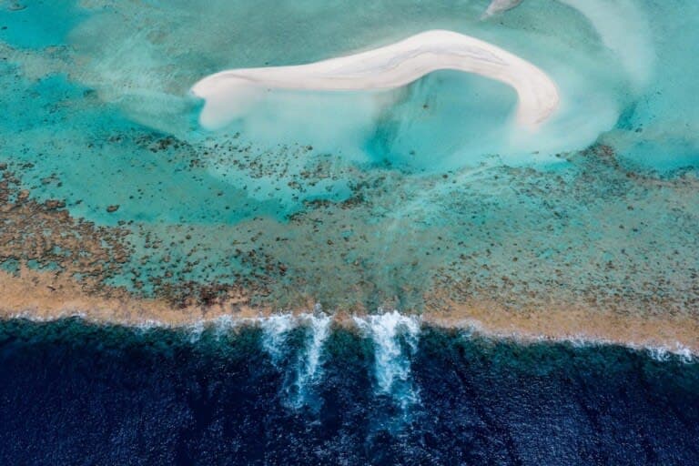 Conservation news - Environmental science and conservation news