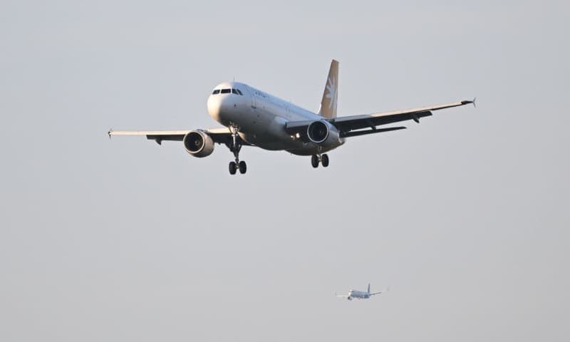 DPA International