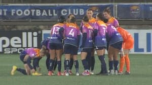 WSOC TV