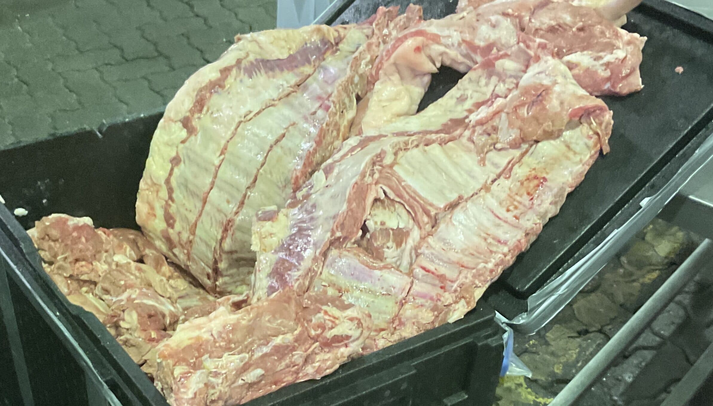 Pig World
