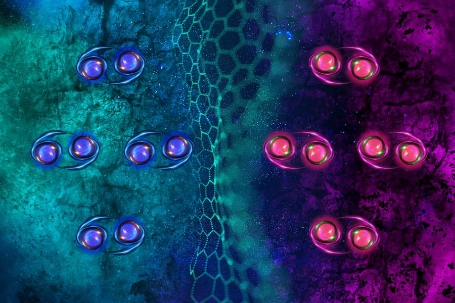 ScienceBlog.com