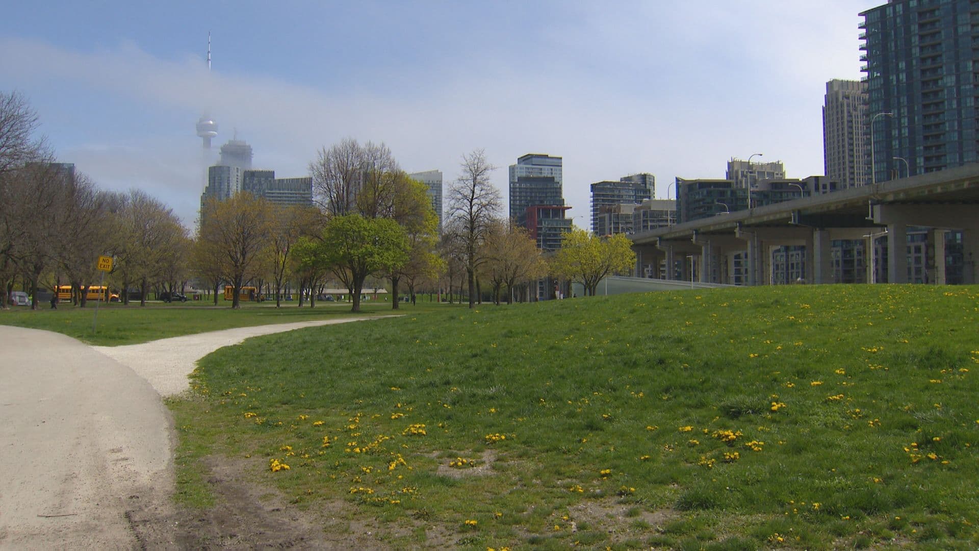 CityNews