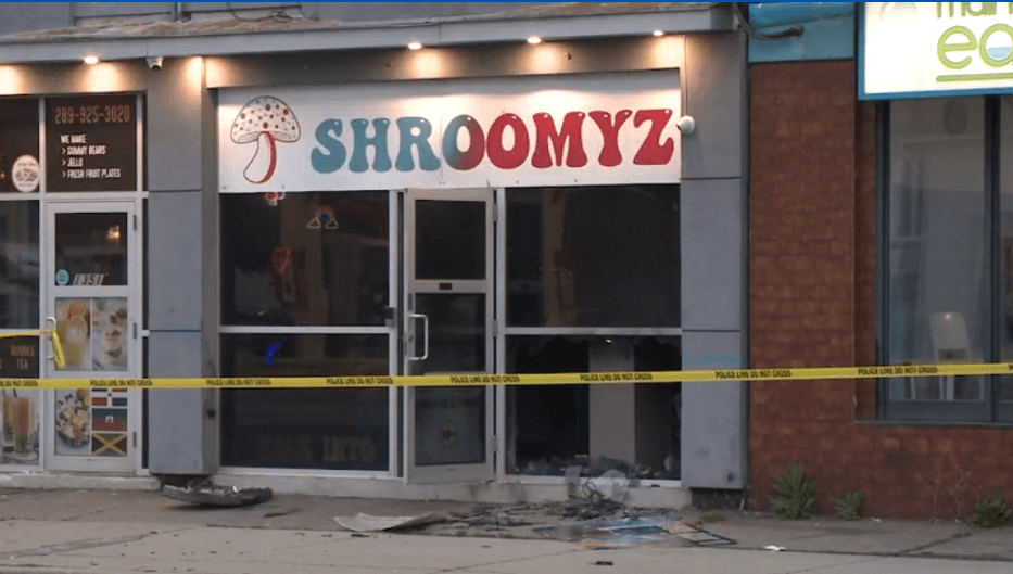 CityNews
