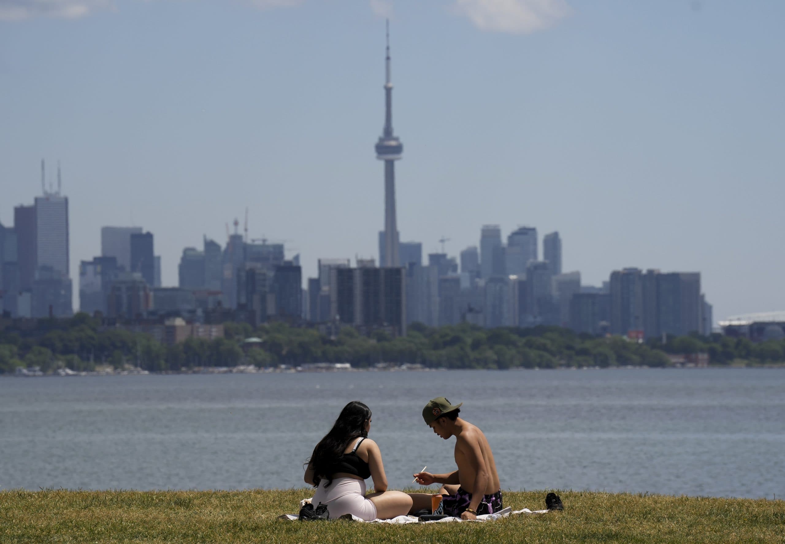 CityNews