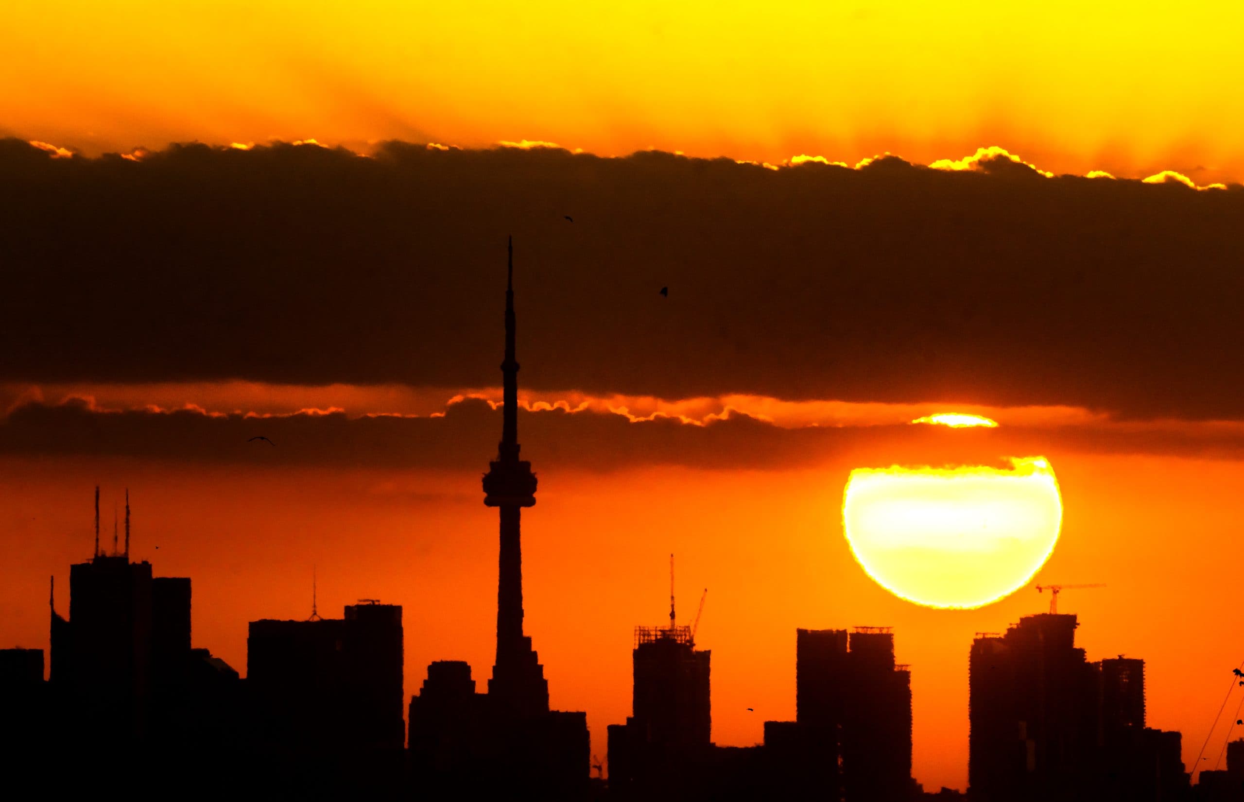 CityNews