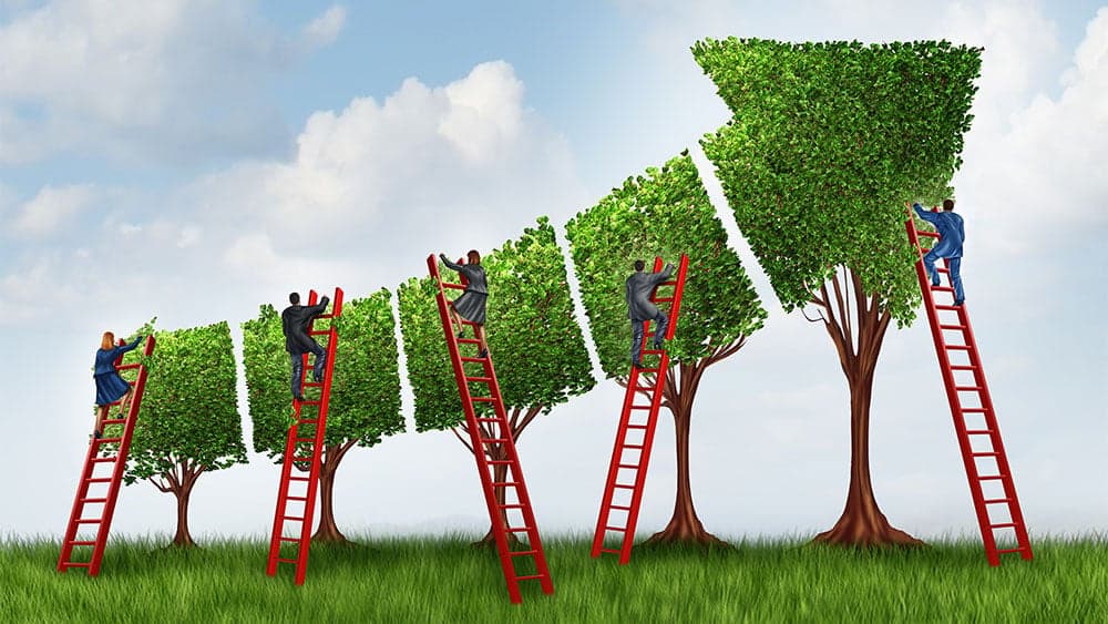 Investor's Business Daily