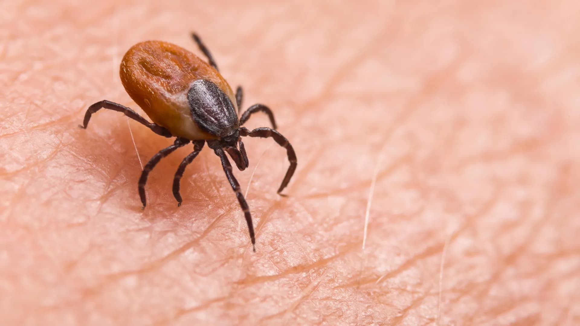 ScienceDaily
