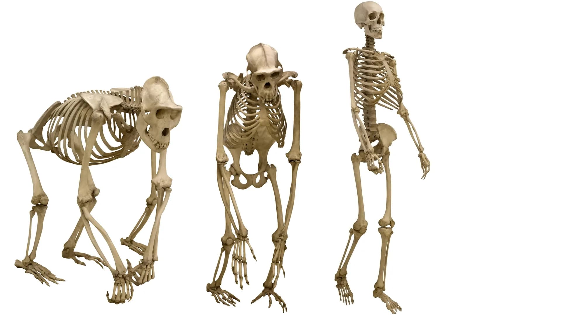 ScienceDaily